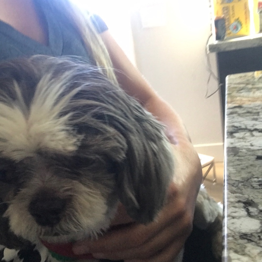 Meet your Posher, Briana